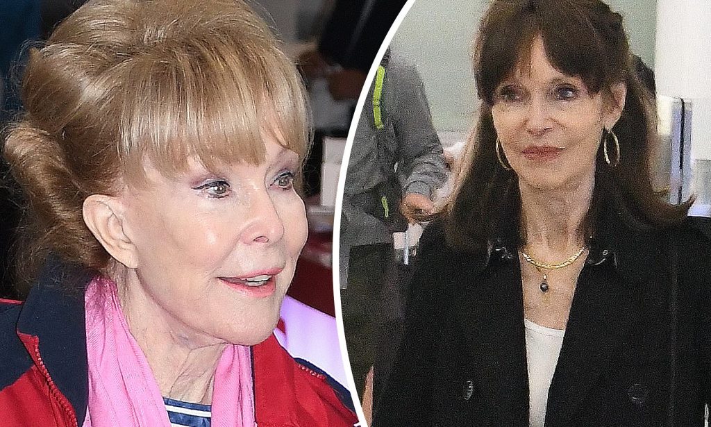 Barbara Feldon Net Worth 2024