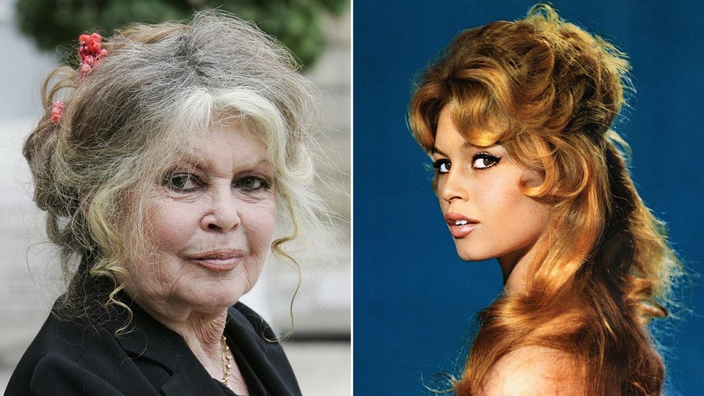 Brigitte Bardot Net Worth 2024