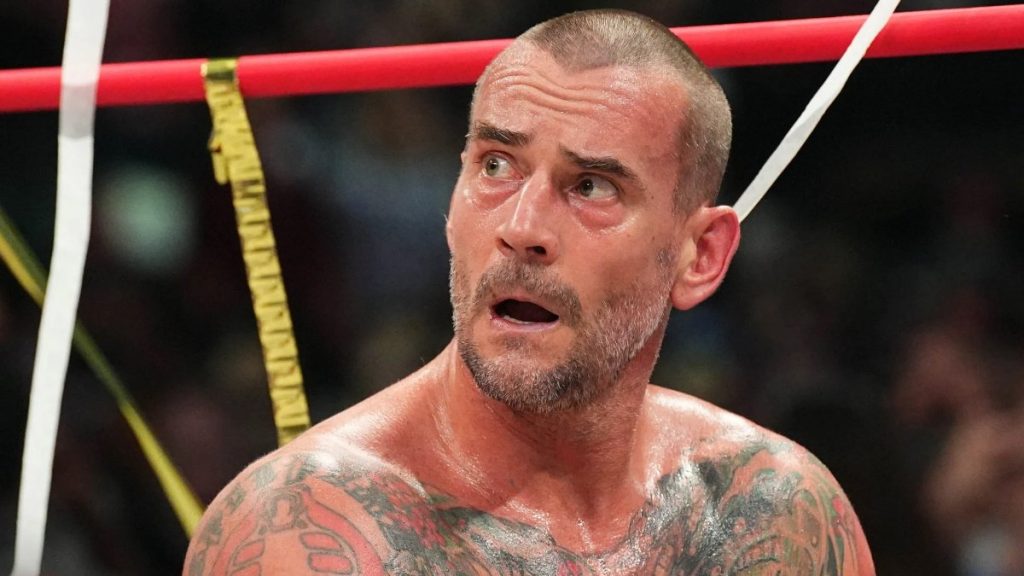 Cm Punk Net Worth 2204