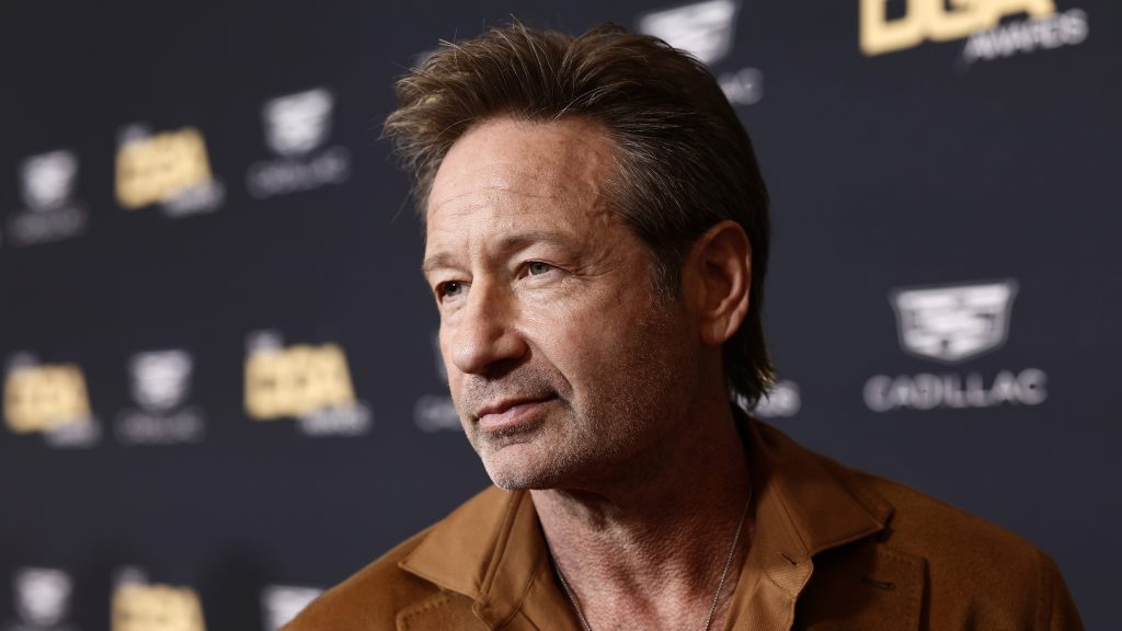 David Duchovny Net Worth 2024