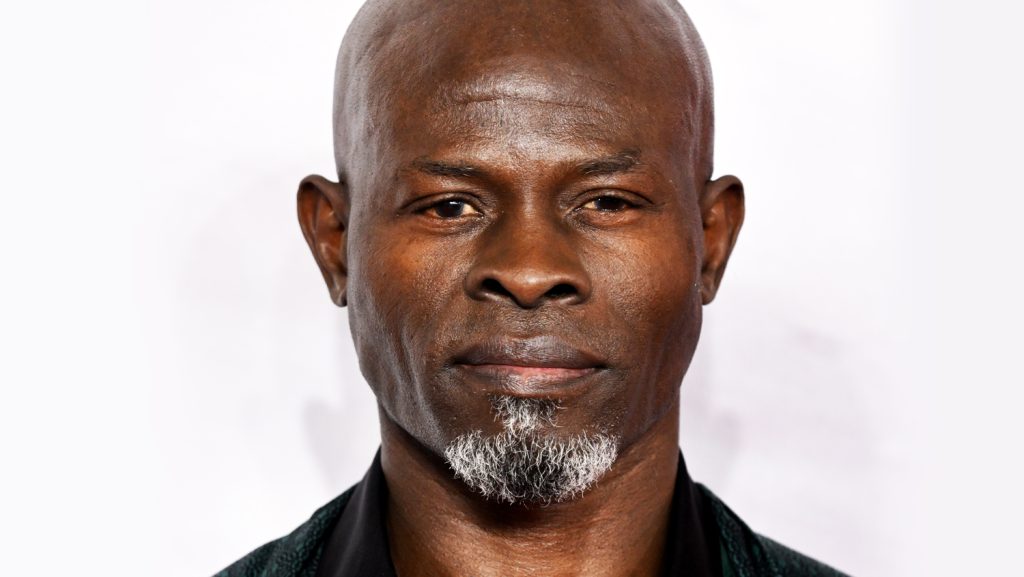 Djimon Hounsou Net Worth 2024